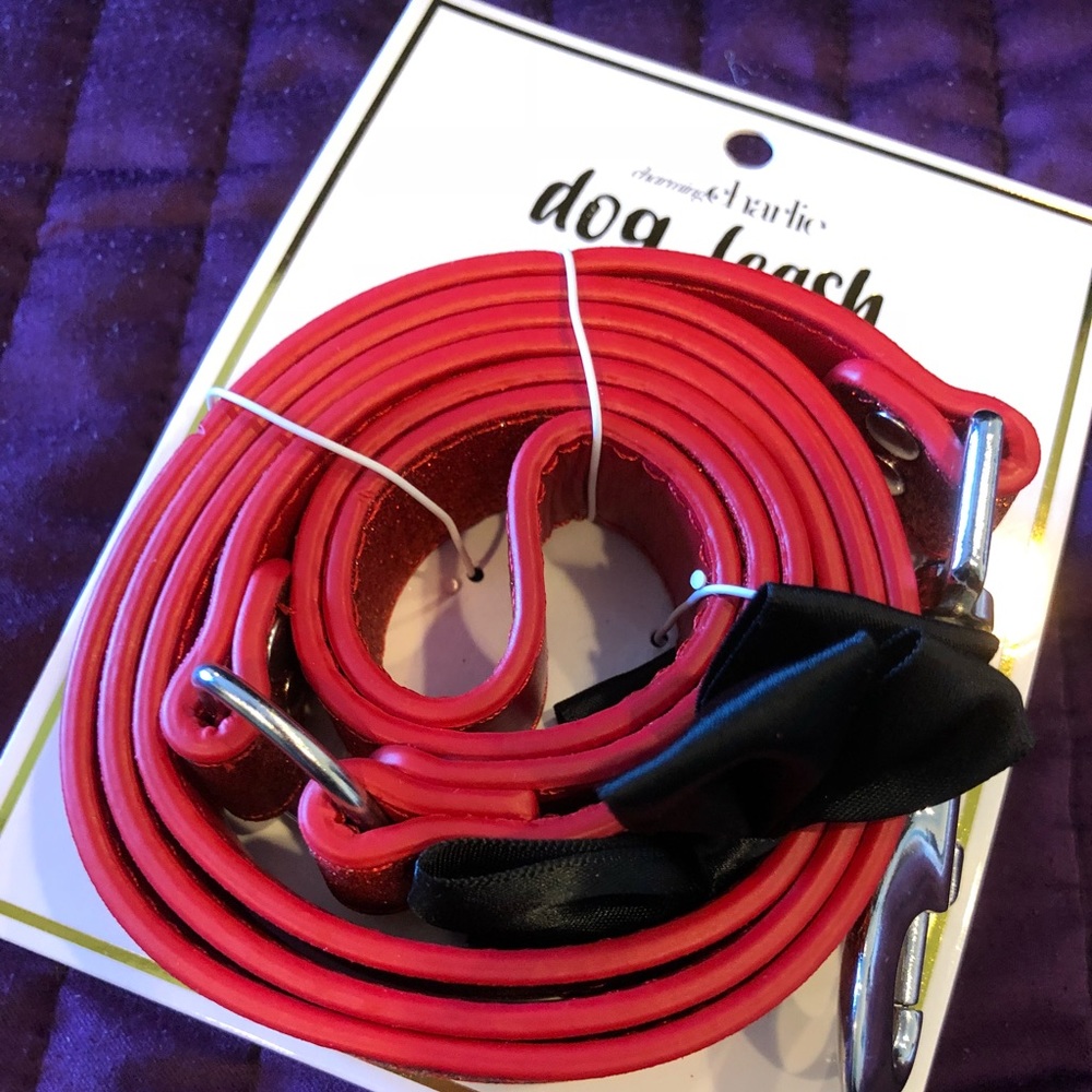 Dog Leash for holidays.